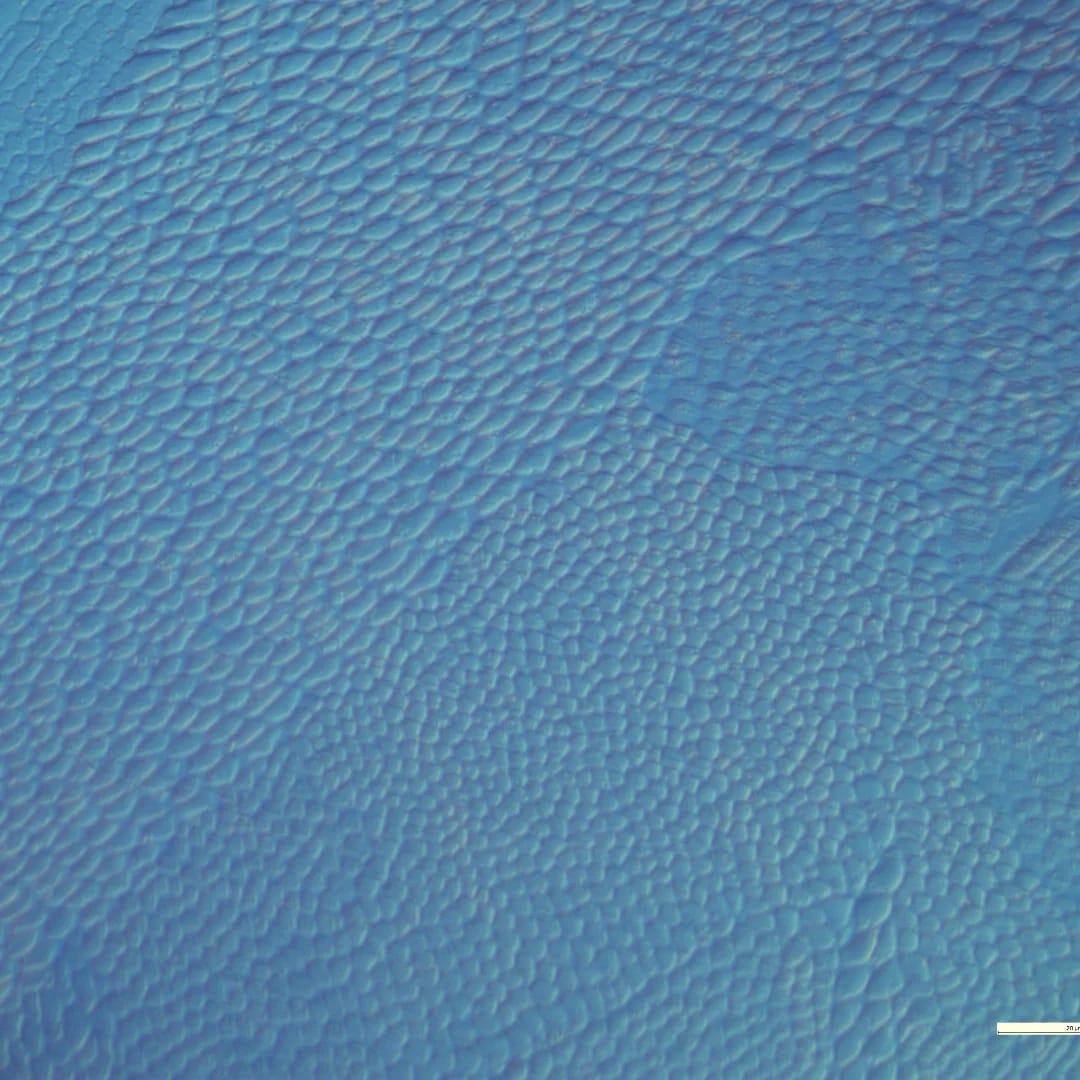 Metallography Output 11